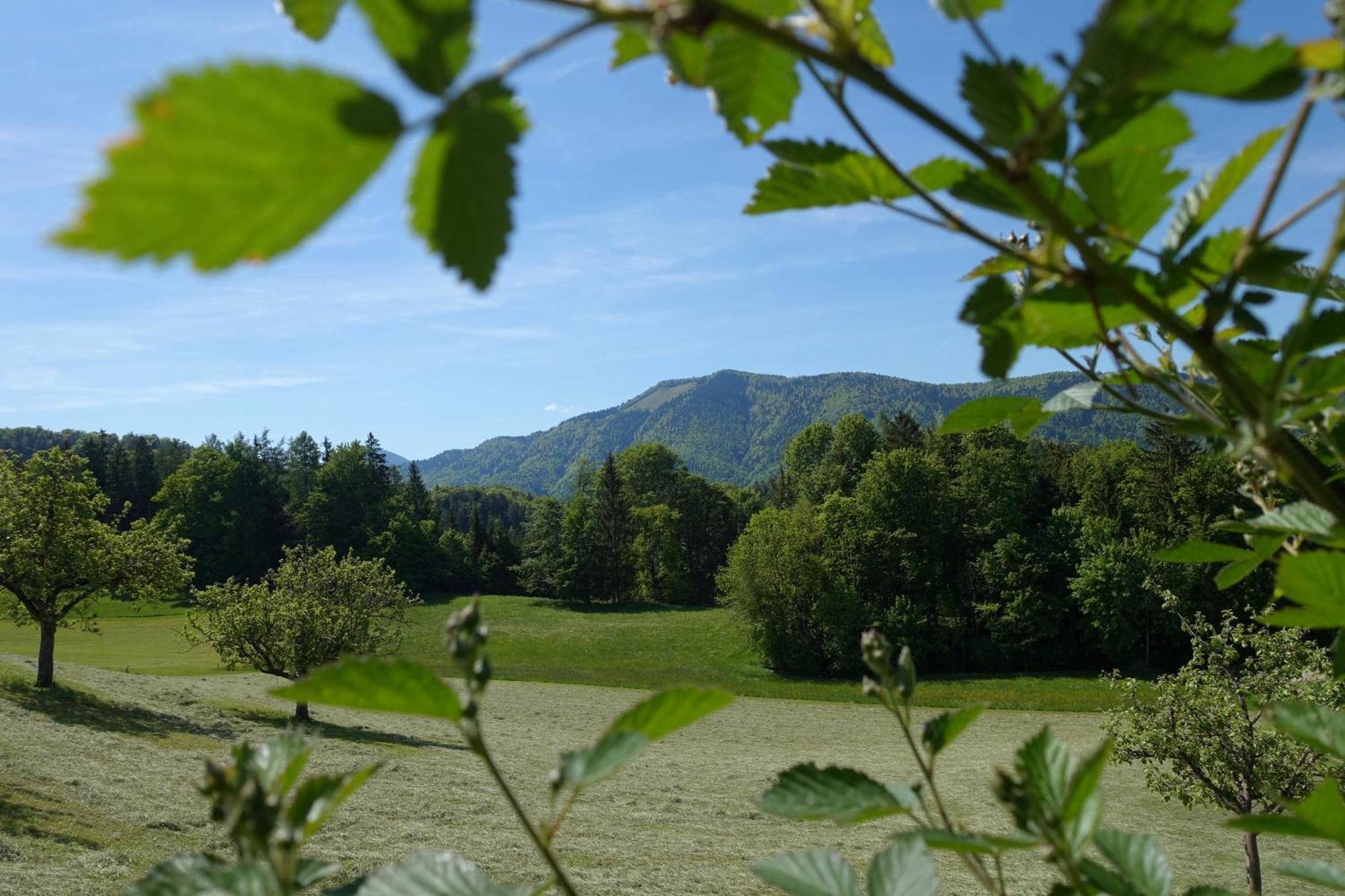 Leitingerhof Villa Thalgau Dış mekan fotoğraf