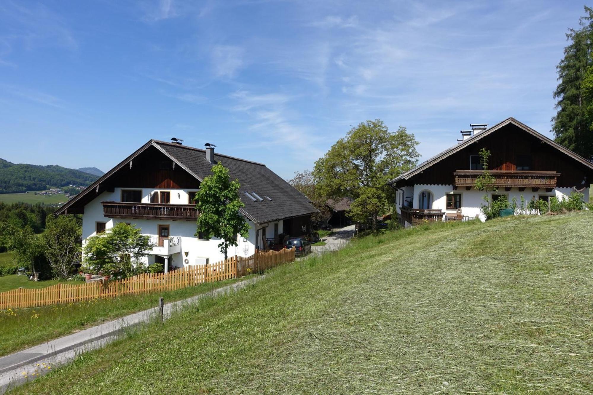 Leitingerhof Villa Thalgau Dış mekan fotoğraf