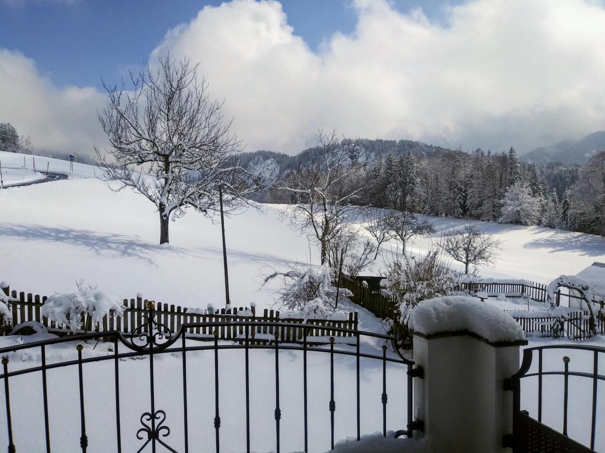 Leitingerhof Villa Thalgau Dış mekan fotoğraf