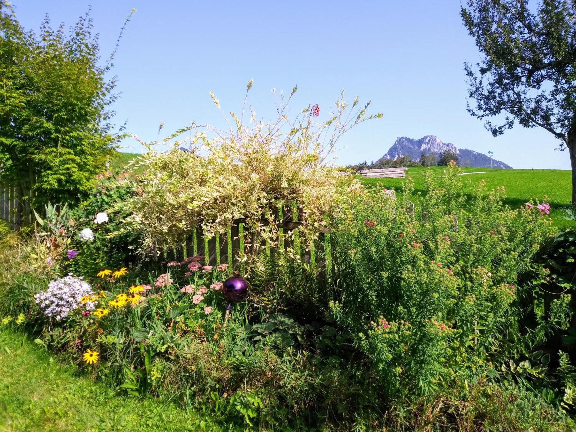 Leitingerhof Villa Thalgau Dış mekan fotoğraf