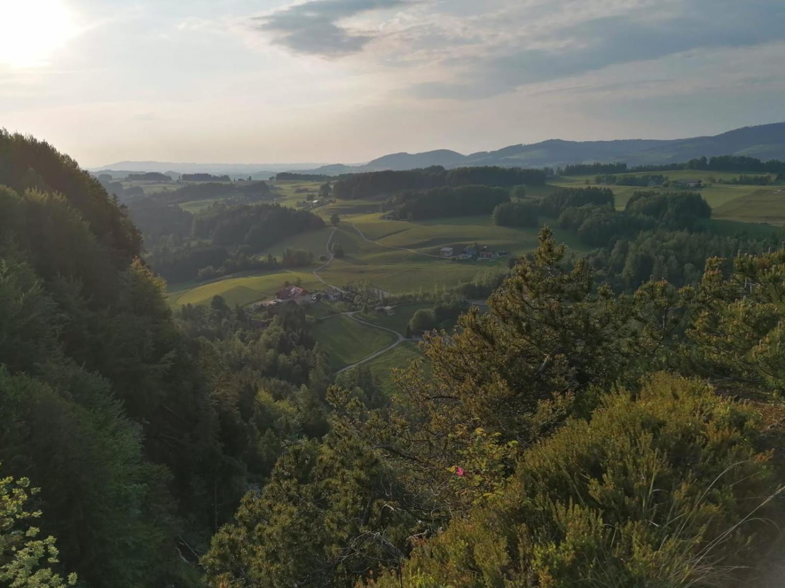 Leitingerhof Villa Thalgau Dış mekan fotoğraf