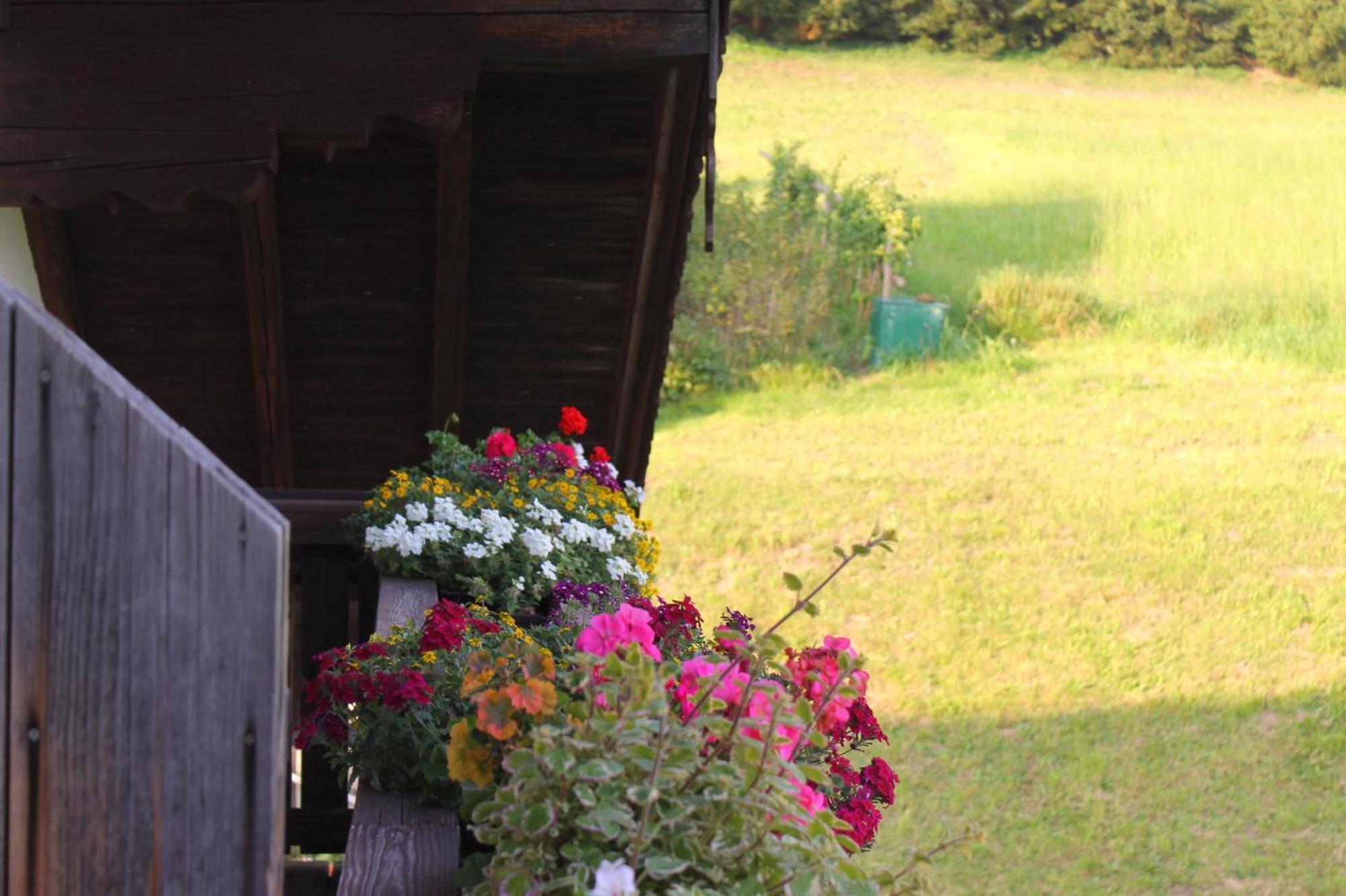 Leitingerhof Villa Thalgau Dış mekan fotoğraf